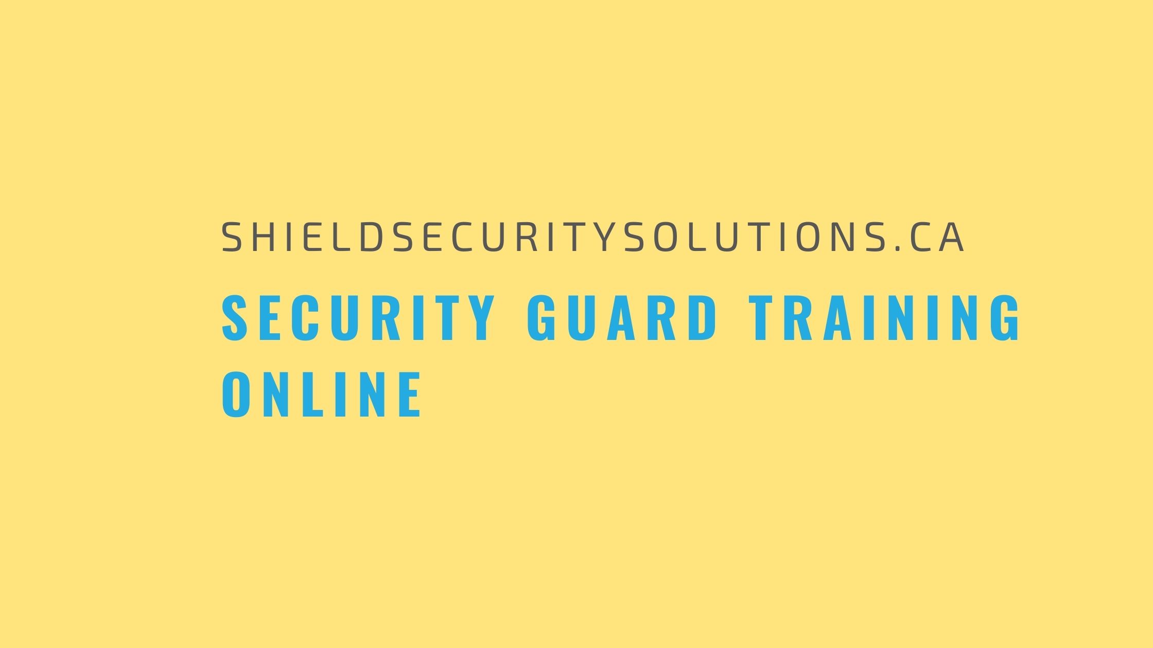 Security Guard Training Online (3)