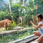 Recommendations for Exciting Zoo Tourist Attractions in Bali
