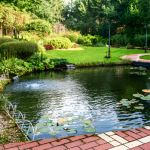 Perfect Your Pond Care with Seasonal Know-How
