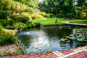 Perfect Your Pond Care with Seasonal Know-How