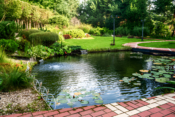 Perfect Your Pond Care with Seasonal Know-How